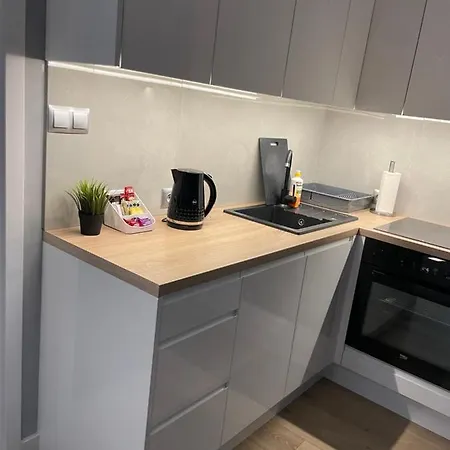 Navy Blue Z Tarasem Apartment