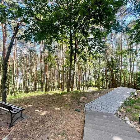 Navy Blue Z Tarasem アパート セロツク